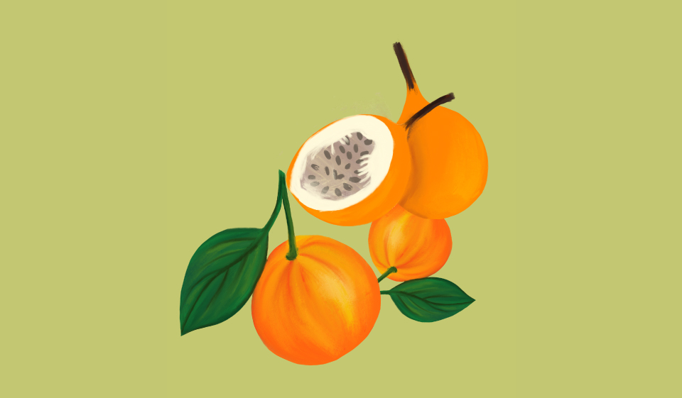 DELLA FRUTA
